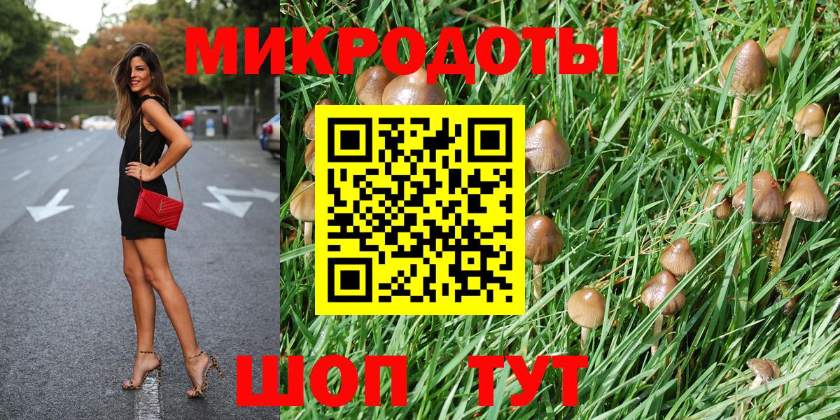 Галлюциногенные грибы Psilocybine cubensis Каменск-Уральский