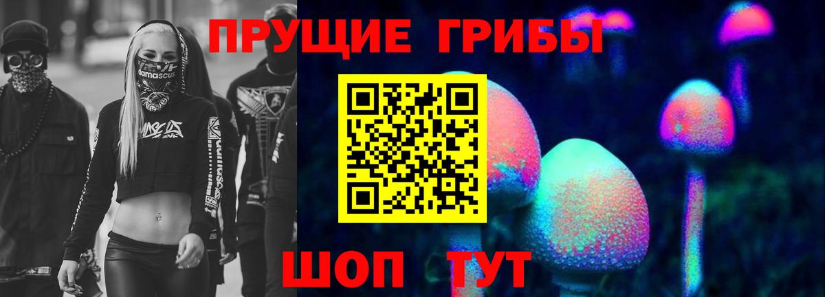 закладки  Вход с VPN  Галлюциногенные грибы прущие грибы  Каменск-Уральский  Галлюциногенные грибы Psilocybe 